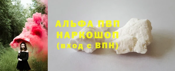 PSILOCYBIN Баксан