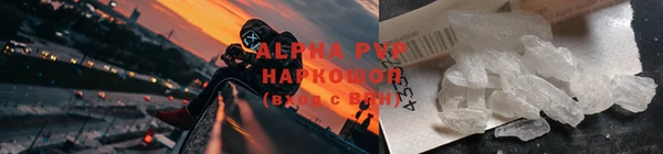 PSILOCYBIN Баксан