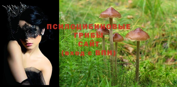 PSILOCYBIN Баксан