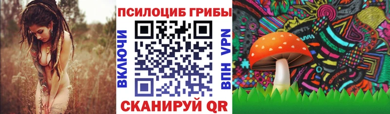 Псилоцибиновые грибы ЛСД Курлово